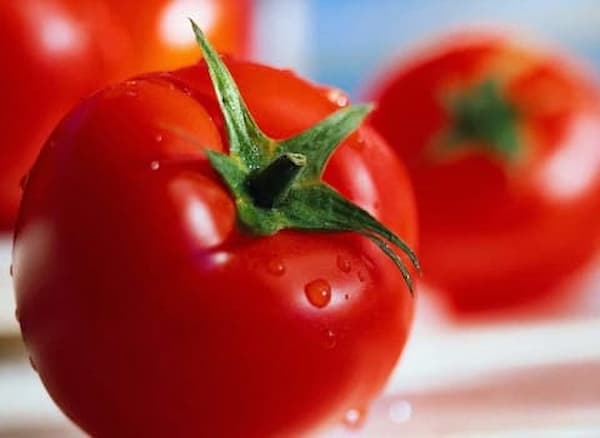 تصویر 1 از گوجه فرنگی رسمی با رنگ طبیعی و طعم عالی